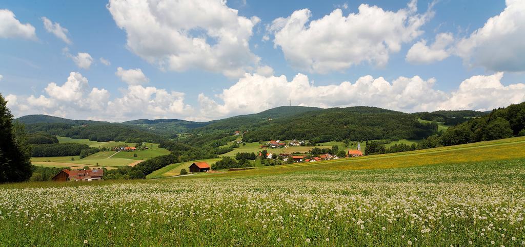 Отель Landgut Stetter Schollnach Экстерьер фото