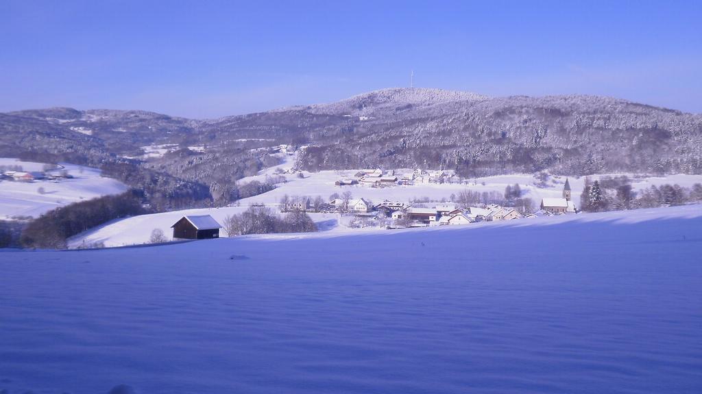 Отель Landgut Stetter Schollnach Экстерьер фото