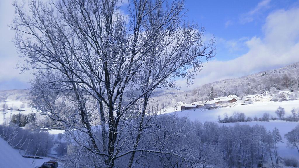Отель Landgut Stetter Schollnach Экстерьер фото
