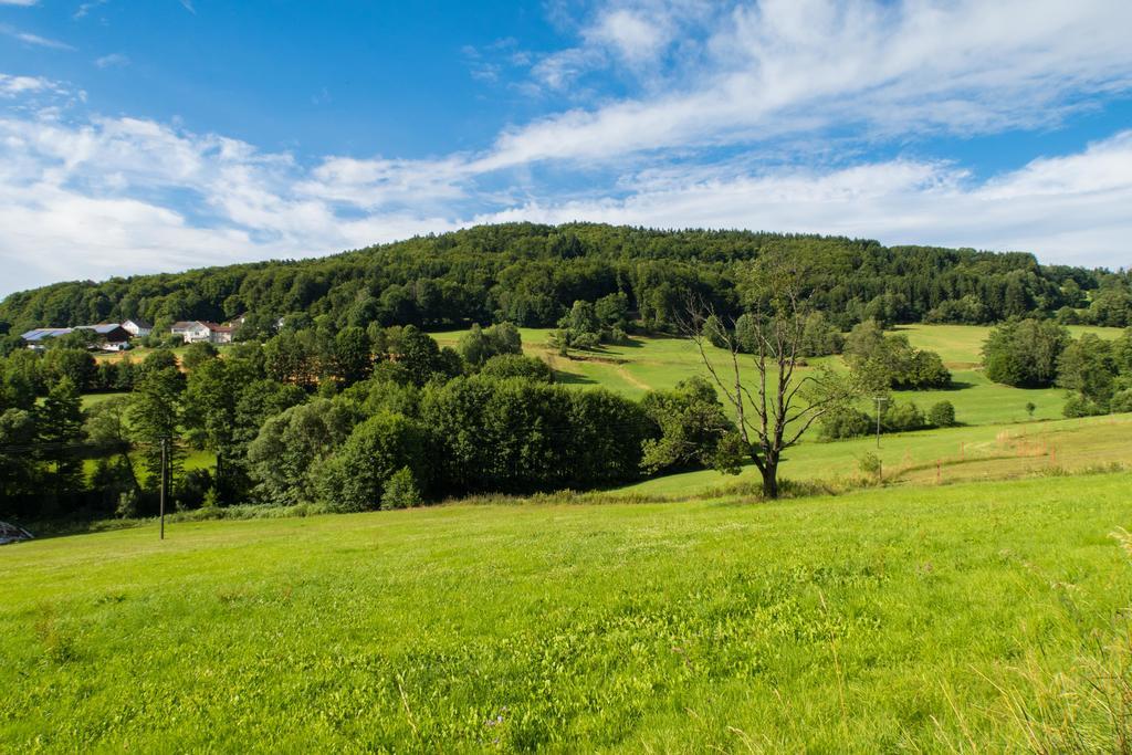 Отель Landgut Stetter Schollnach Экстерьер фото