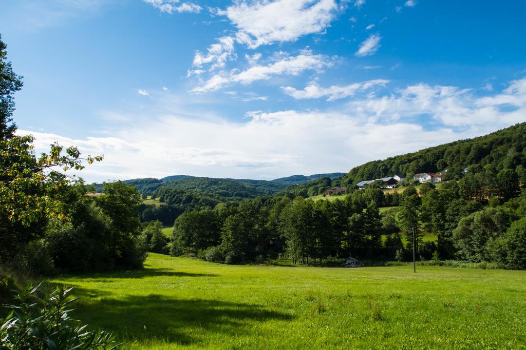 Отель Landgut Stetter Schollnach Экстерьер фото