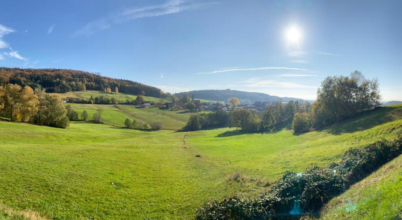 Отель Landgut Stetter Schollnach Экстерьер фото